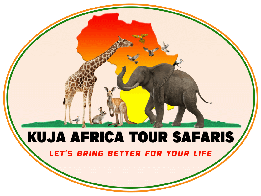 Kuja Africa Tour Safaris