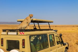 3-Day Arusha National Park, Tarangire, Ngorongoro Crater