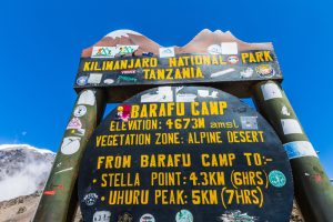 6-Day  Kilimanjaro Trek Rongai Route