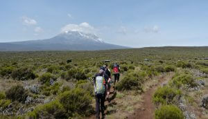 6-Day Mount Kilimanjaro Machame Route